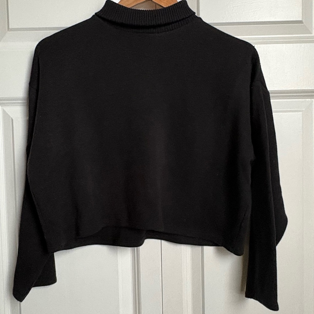 Zara /  Cropped Black Turtleneck Sweater / M